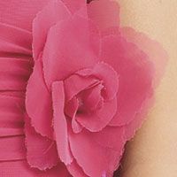 Pink chiffon rose