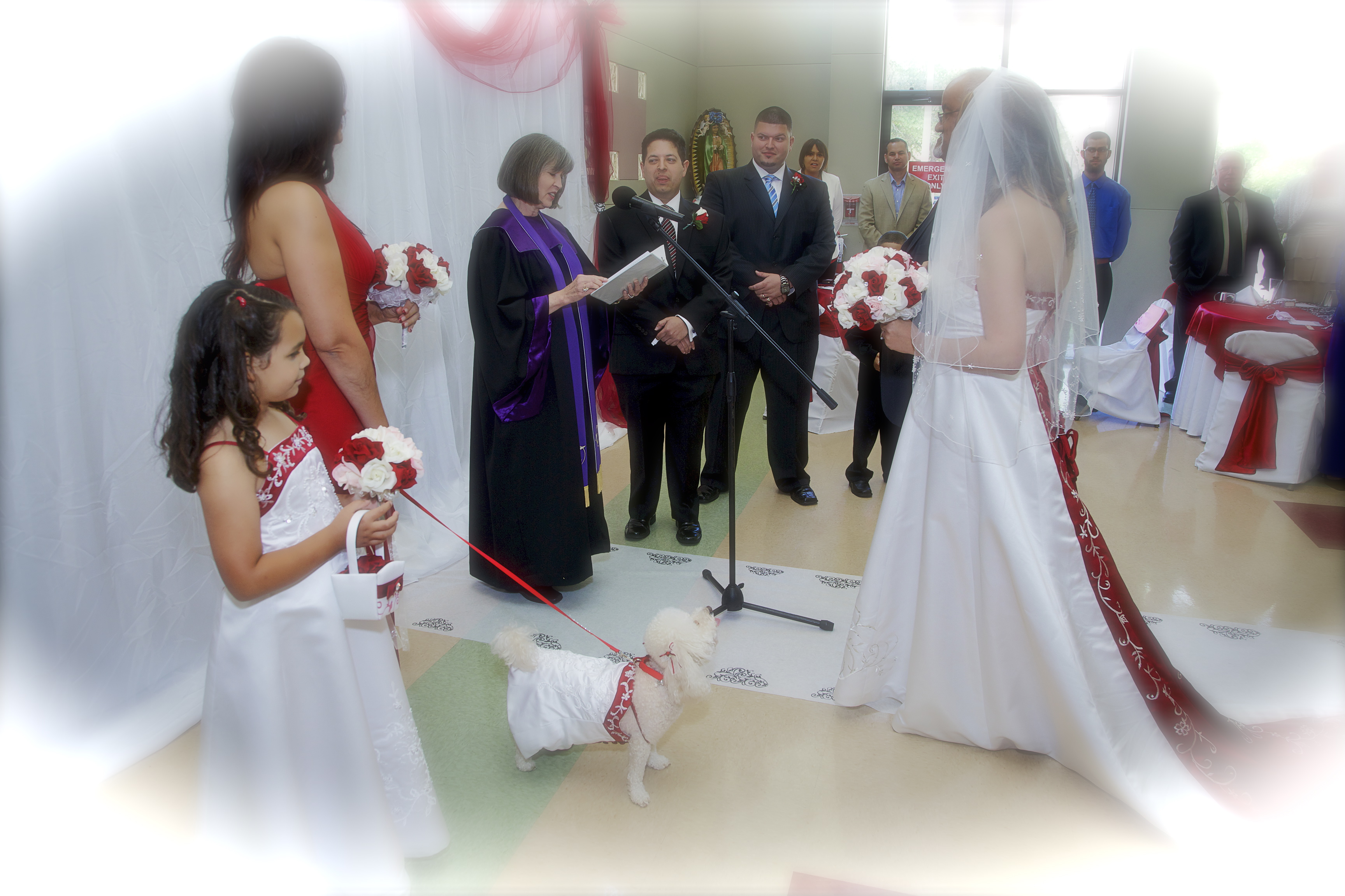 bridal gown, flower girl and matching dog dresses