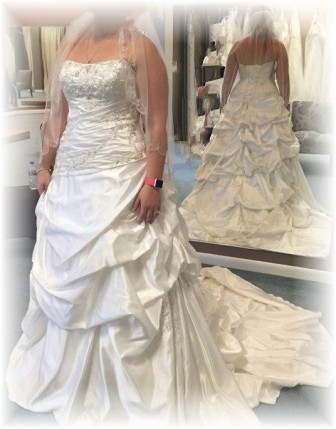 brides dress picture