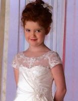 sheer bodice and short sleeves