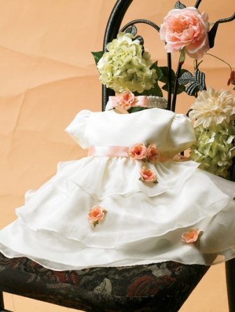 baby flower girl dress