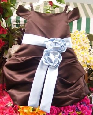 chocolate pick up dress