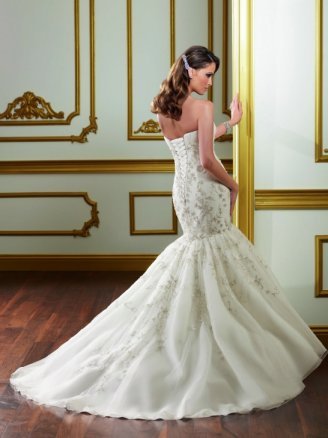 Brides photo to match my wedding gown