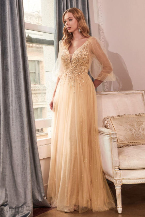 champagne dress with sheer long sleeves