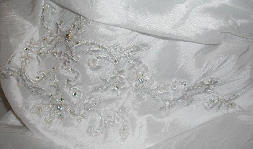 skirt appliques and beading