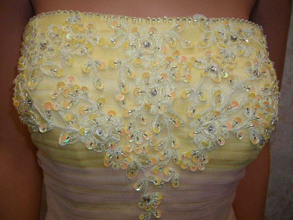 beaded applique bodice